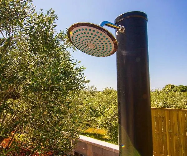 Horizont * 파자나